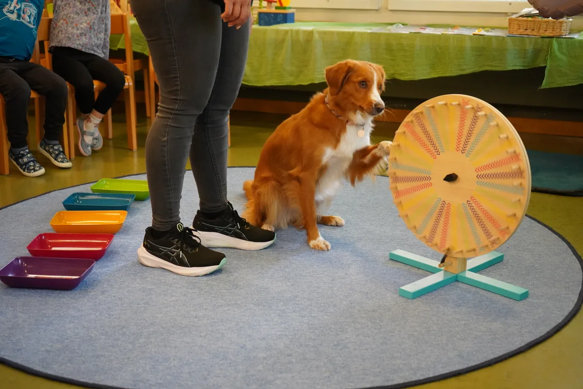 Schulhündin Toffee unterstützt die Kinder bei Lernprozessen und dabei, Empathie und Rücksichtnahme zu lernen.