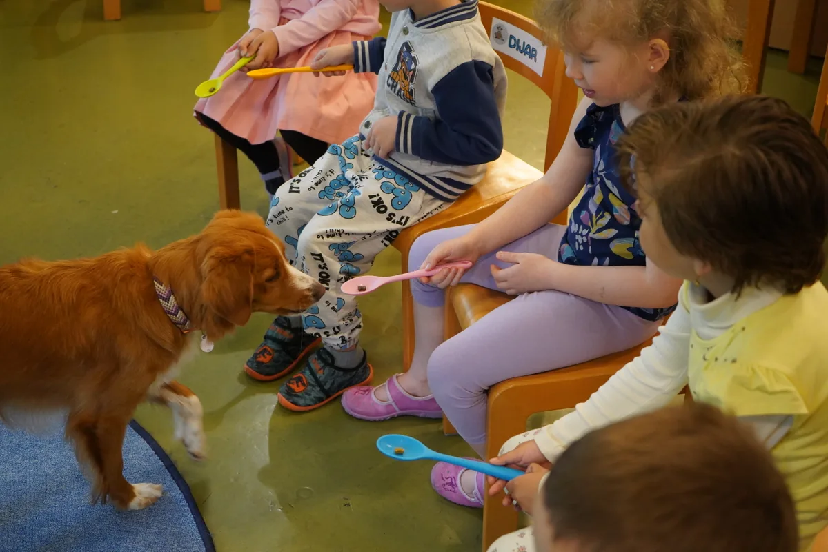 Schulhündin Toffee unterstützt die Kinder bei Lernprozessen und dabei, Empathie und Rücksichtnahme zu lernen.