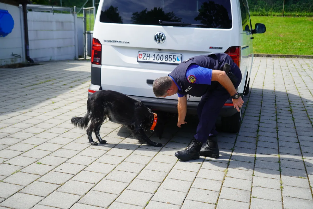 Jörg Guggisberg ist der Leiter des Diensthundezentrums in Dübendorf. Er trainiert Polizeihunde.
