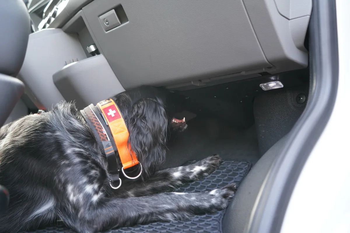 Jörg Guggisberg ist der Leiter des Diensthundezentrums in Dübendorf. Er trainiert Polizeihunde.