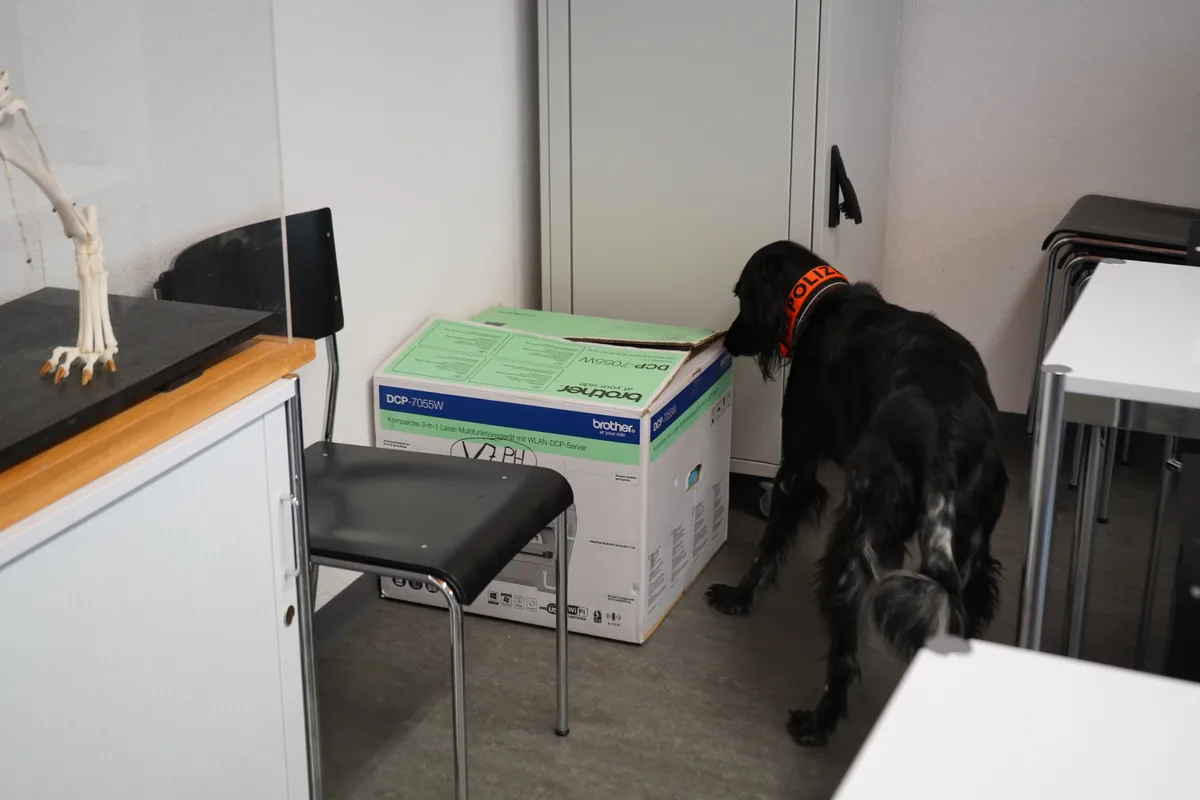 Jörg Guggisberg ist der Leiter des Diensthundezentrums in Dübendorf. Er trainiert Polizeihunde.