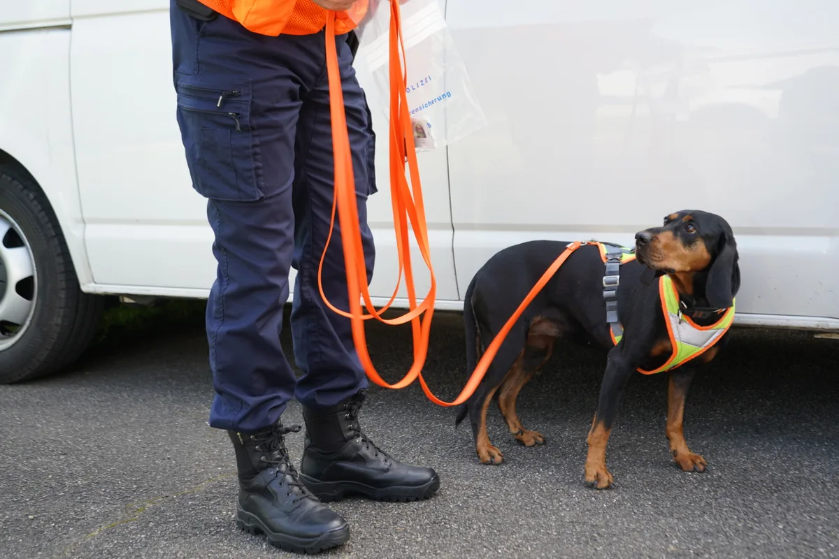 Jörg Guggisberg ist der Leiter des Diensthundezentrums in Dübendorf. Er trainiert Polizeihunde.