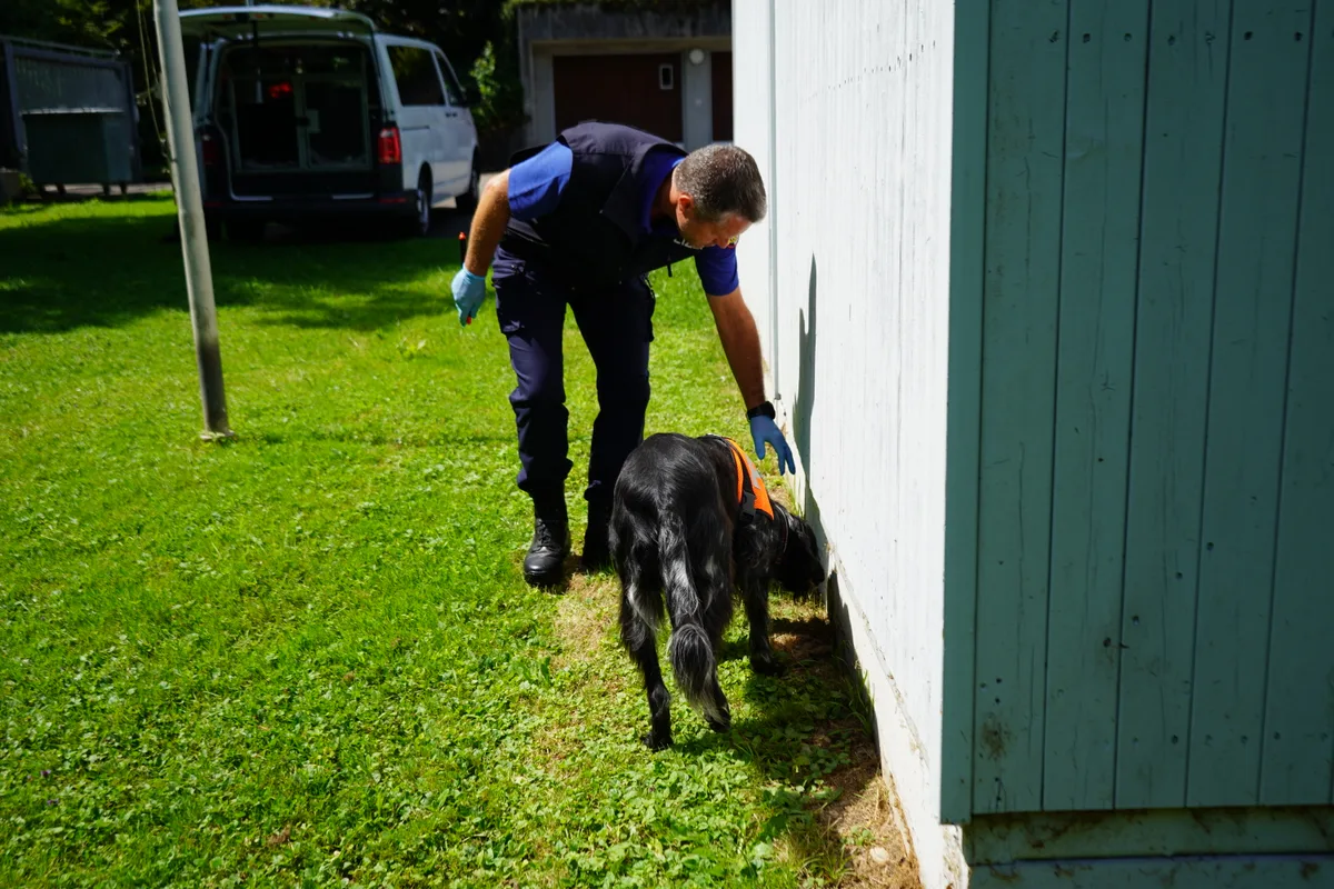 Jörg Guggisberg ist der Leiter des Diensthundezentrums in Dübendorf. Er trainiert Polizeihunde.