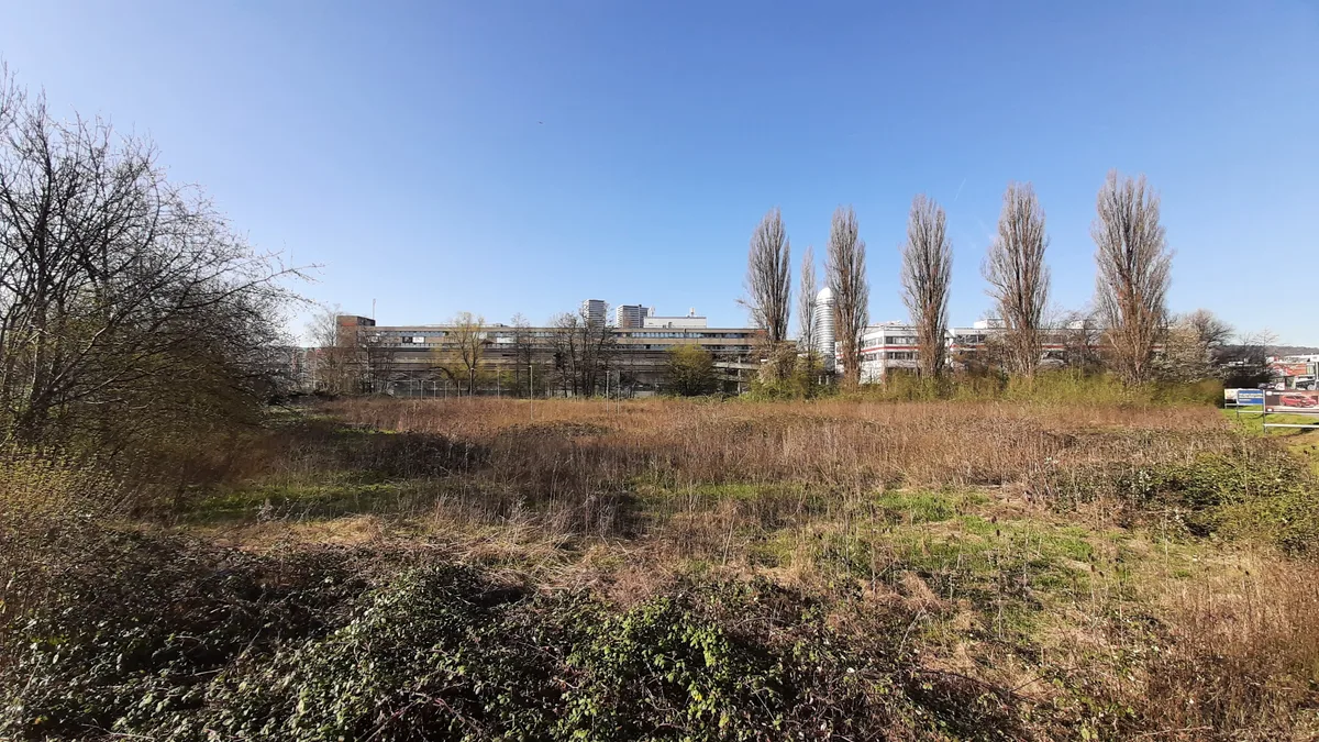 Hier, gegenüber der Überbauung Am Ring, ist ein Park mit Pumptrack vorgesehen. (Archiv) Eine grosse Brache mit wuchernden Pflanzen.