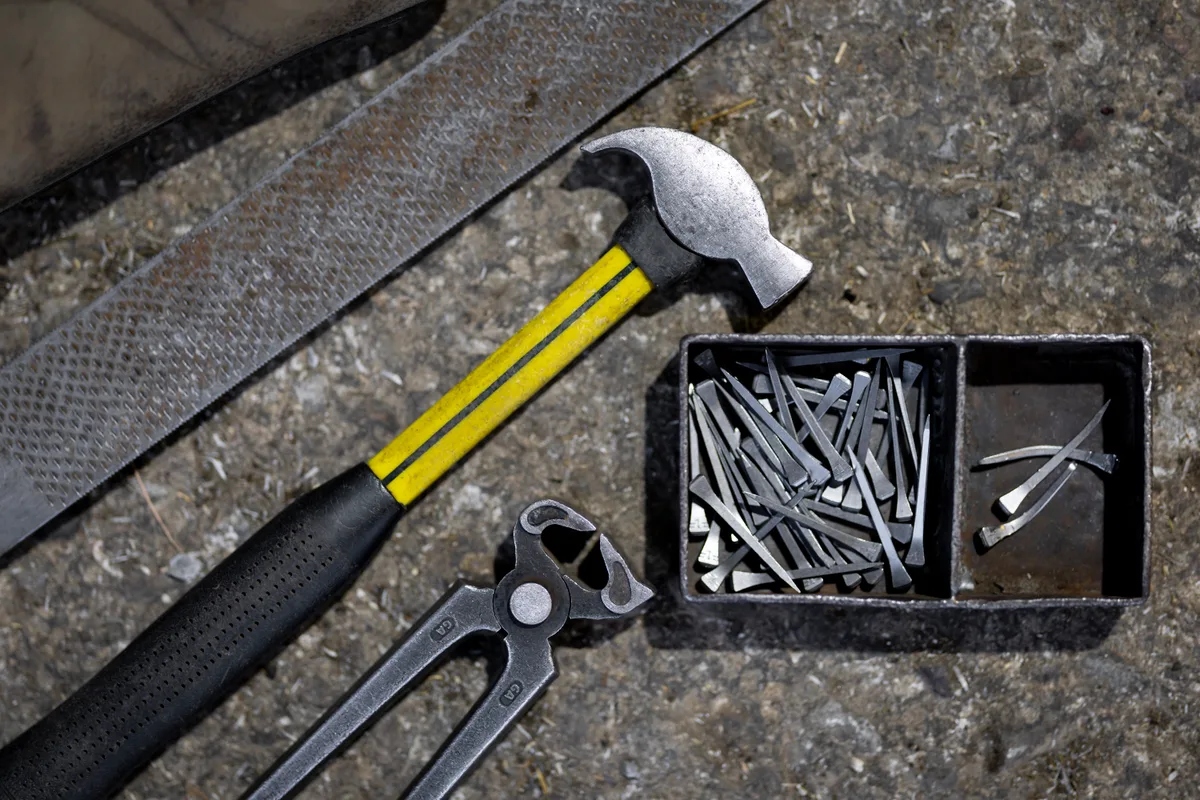 Blick auf Hammer, Zange und Nägel.
