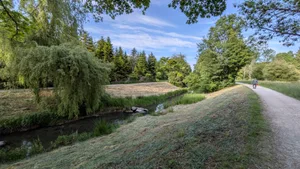 25873732-5 Das hohe Gras ist weg: Der Chriesbach nach der Rodungsaktion des Kantons.