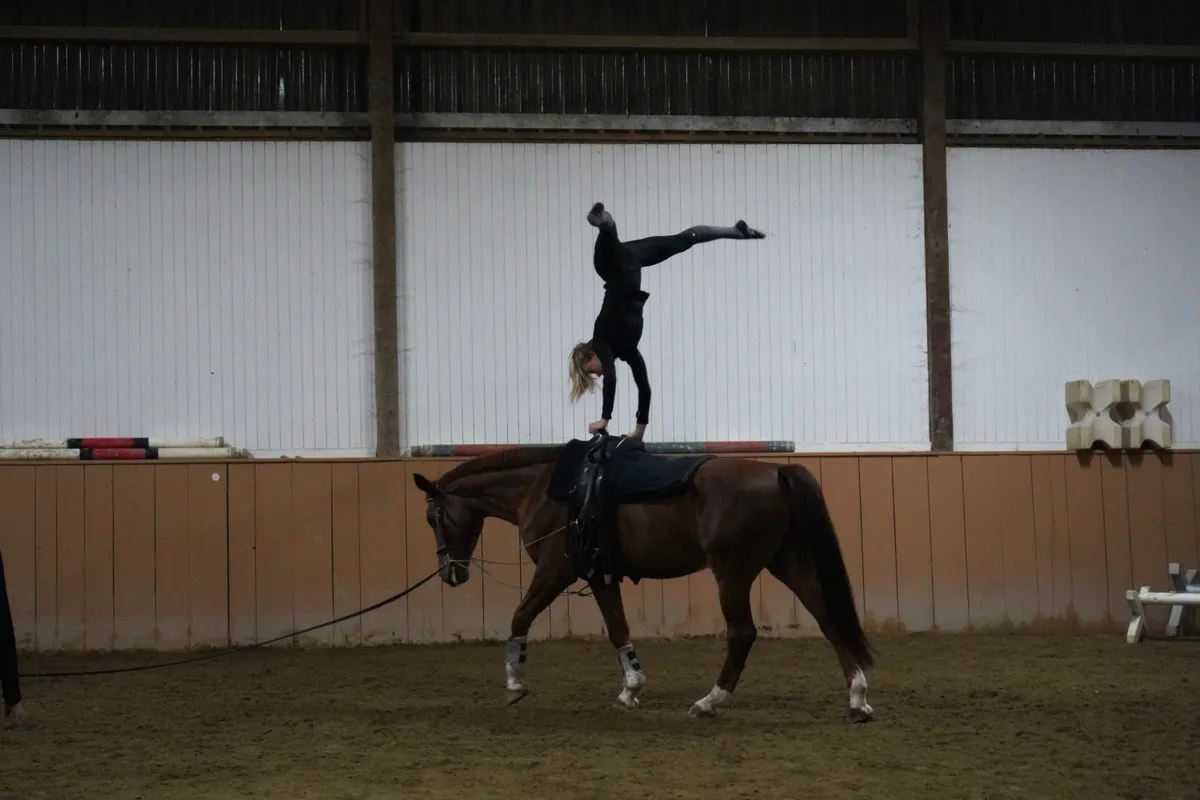 Leonie Linsbichler macht den Handstand auf einem trabenden Pferd.