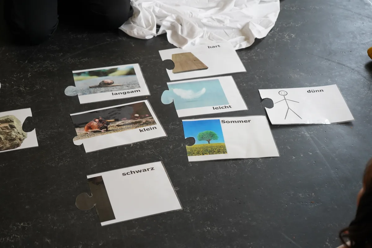 Laminierte Blätter auf dem Boden.