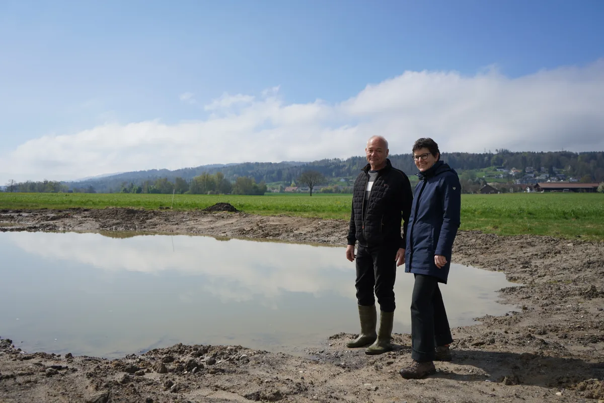 In Tüfwis wird derzeit ein Biodiversitätsprojekt umgesetzt.