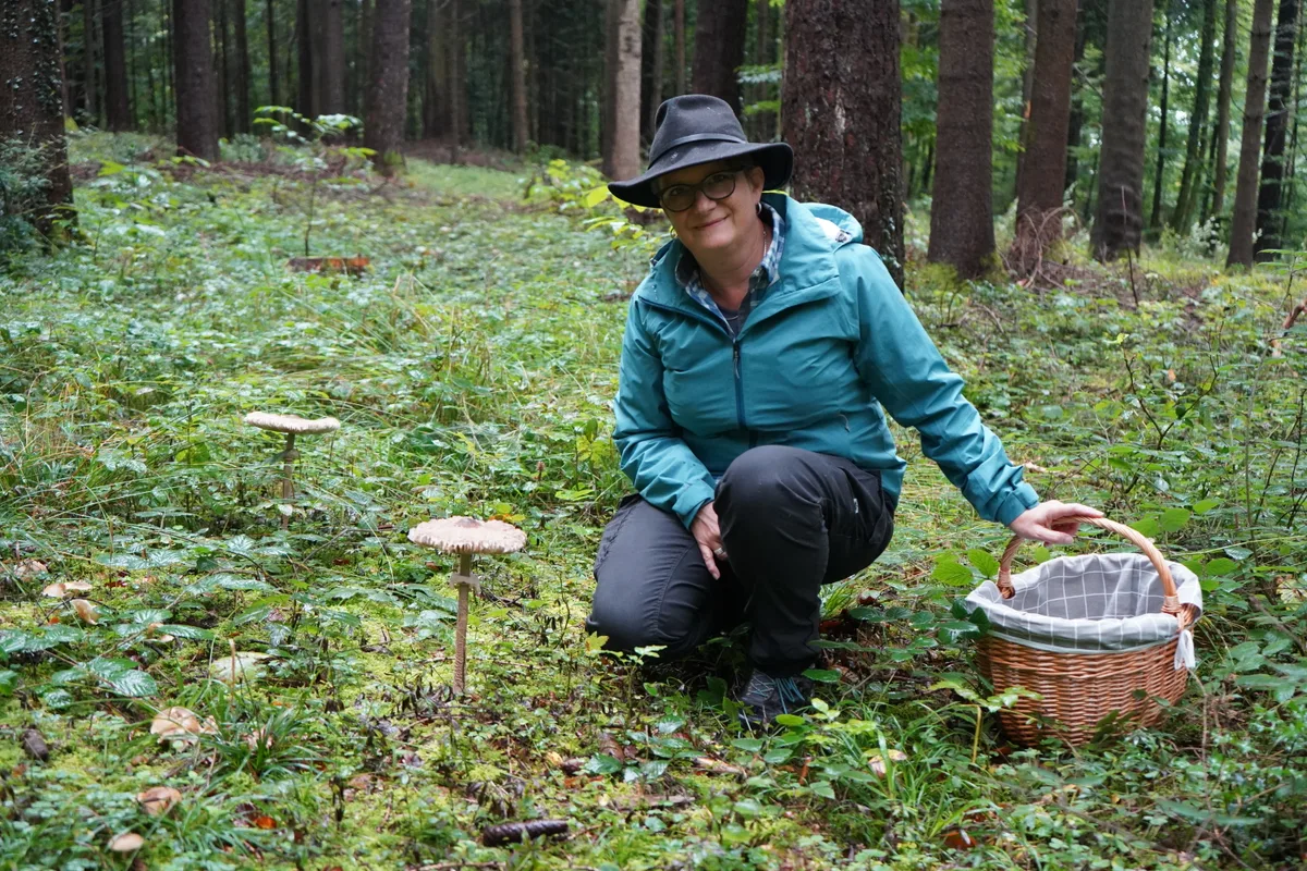 Andrea Brühlmann aus Gockhausen geht in Pfaffhausen im Wald Pilze sammeln.