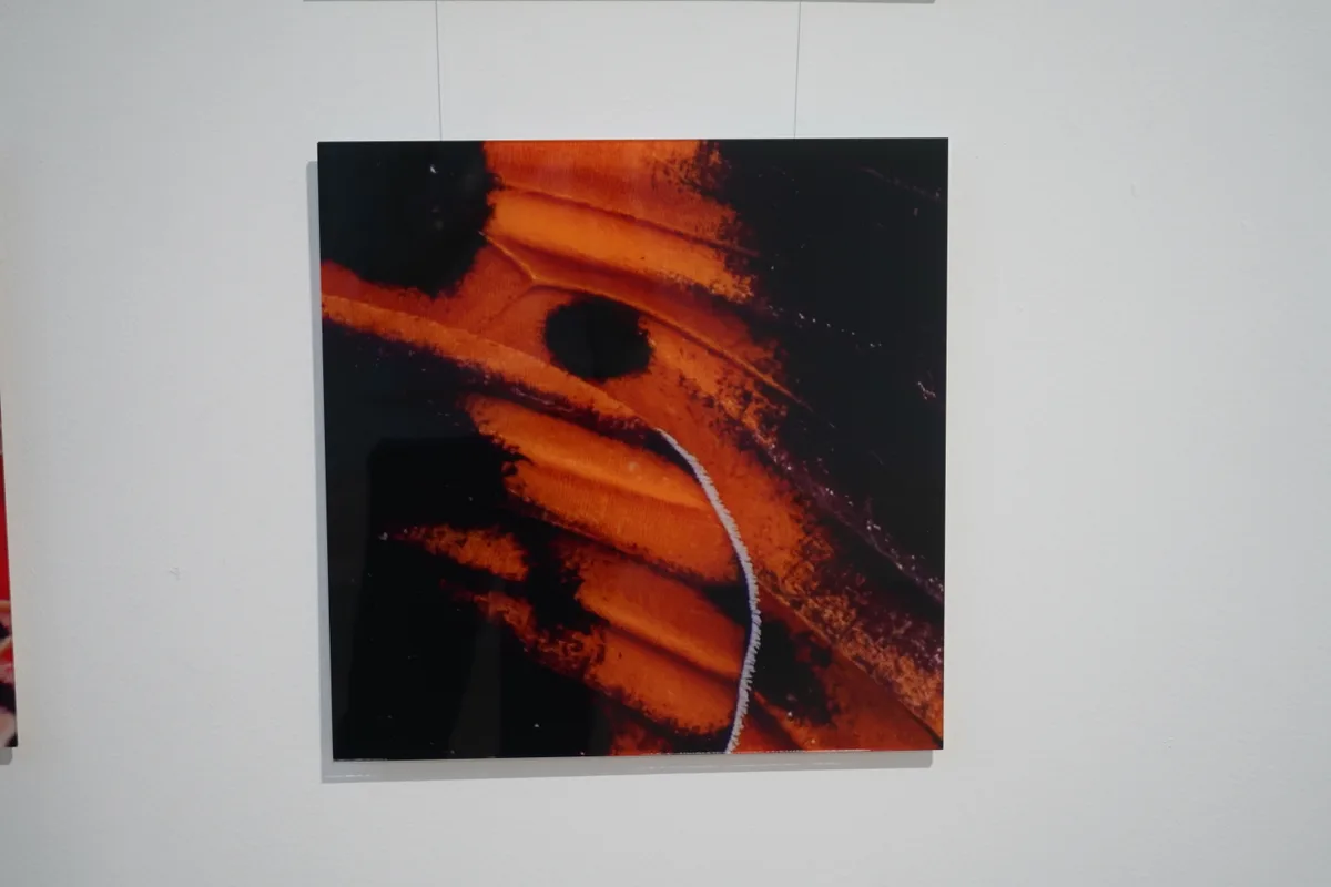 Saskia Sifferts Bilder.