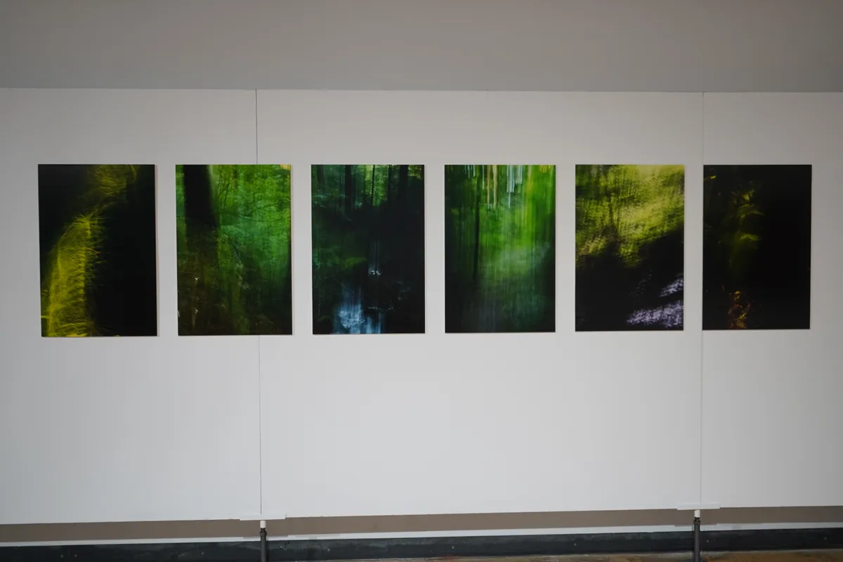 Daniela Thalmanns Bilder.