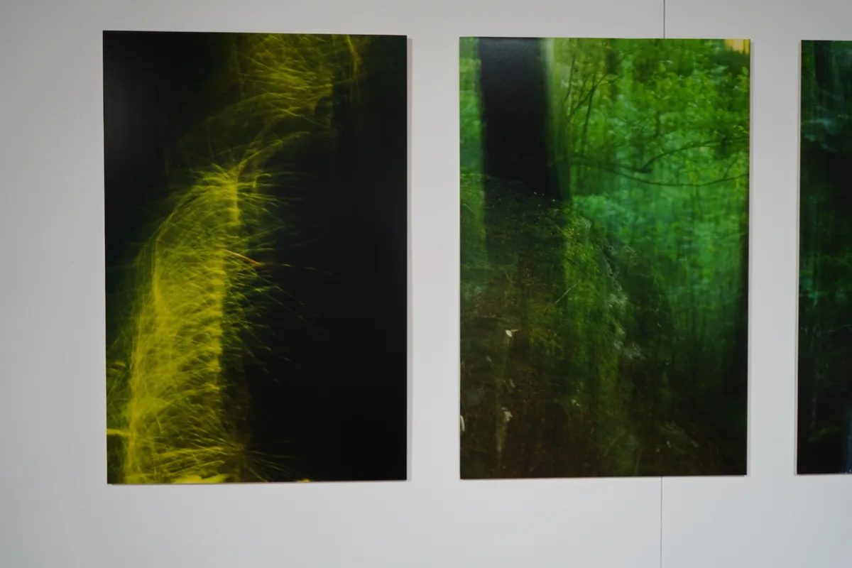 Daniela Thalmanns Bilder.