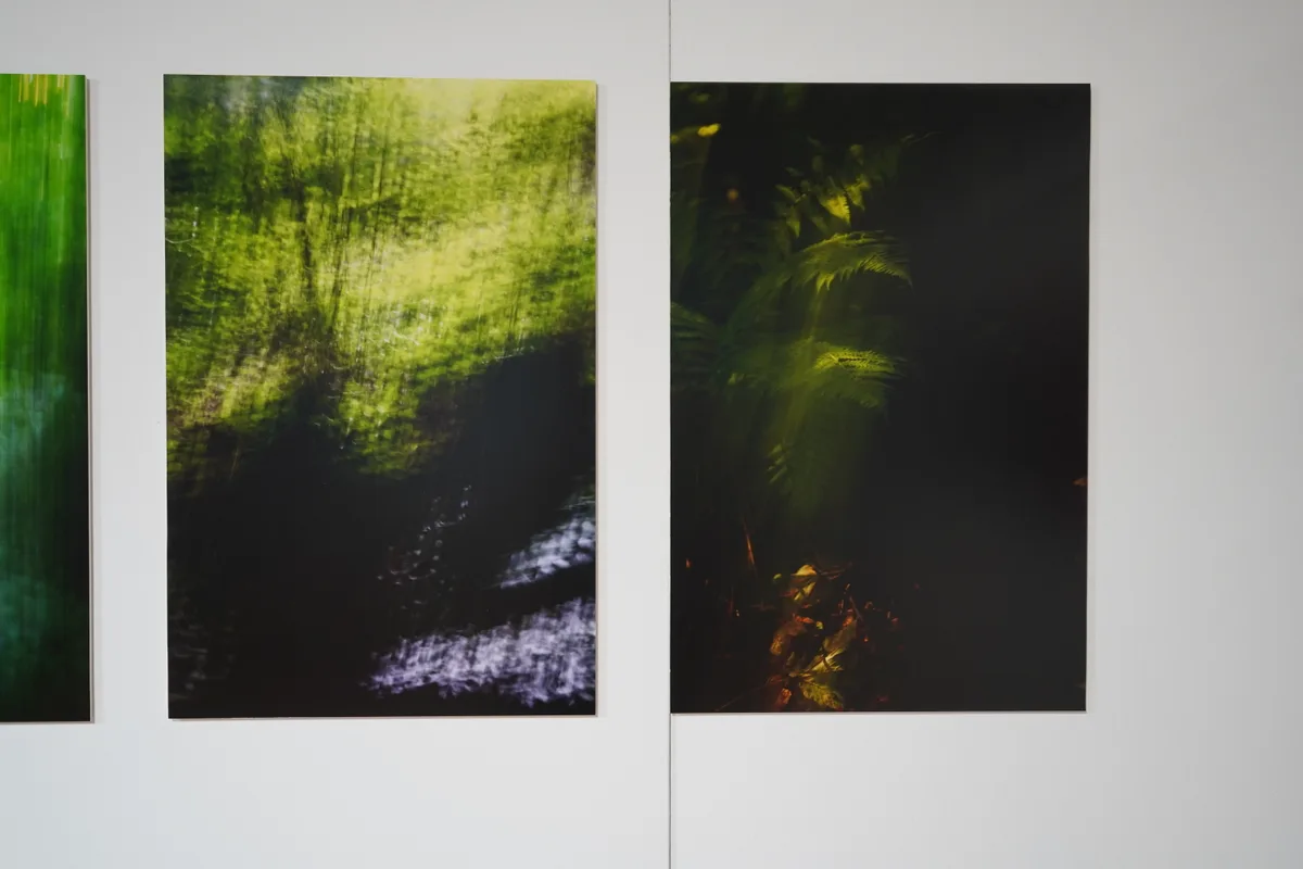 Daniela Thalmanns Bilder.