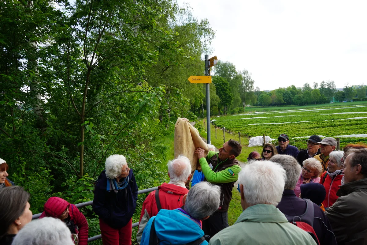 Bei einem Rundgang in Dübendorf klärte Biberfachmann Urs Wegmann über den Nager auf.