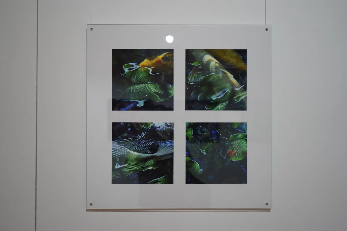 Thomas Jennys Bilder. 