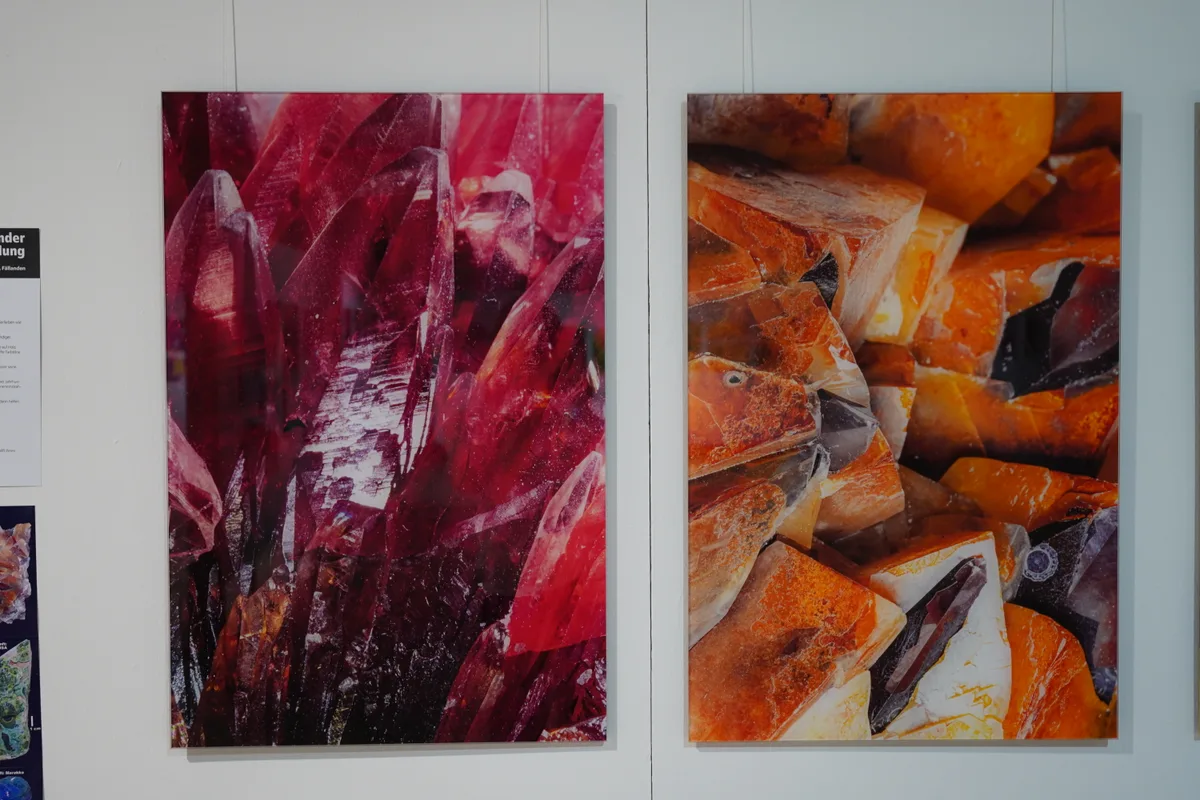 Bilder von Leo Widmer.