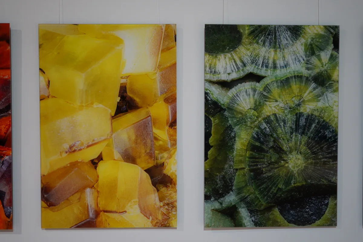 Bilder von Leo Widmer.