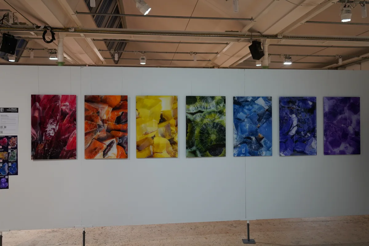 Bilder von Leo Widmer.