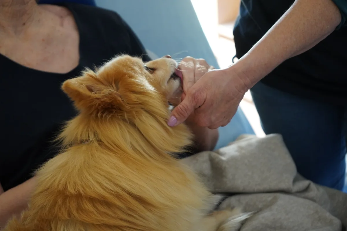 Ein Hund leckt die Hand einer Bewohnerin ab. 