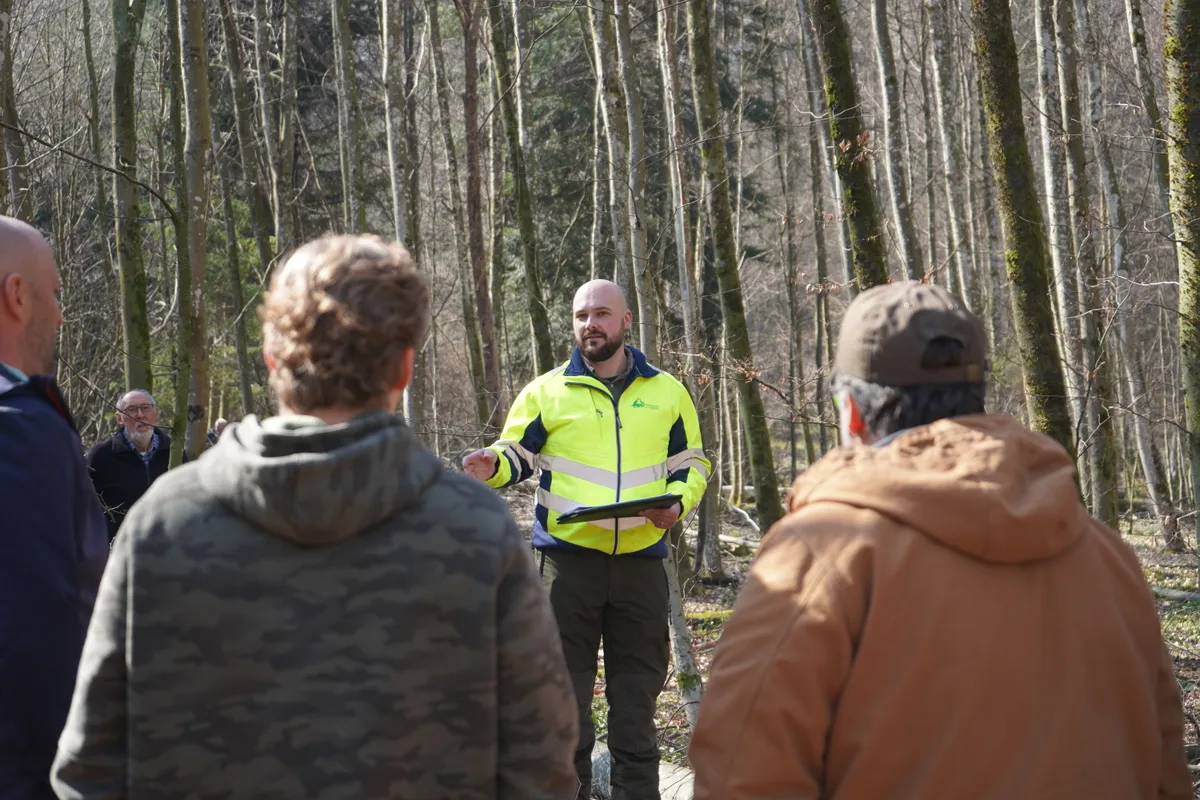 In Dübendorf wird noch eine traditionelle Holzgant durchgeführt. Primär geht es um die Versteigerung von Holz, aber vor allem auch um die Gesellschaft.
