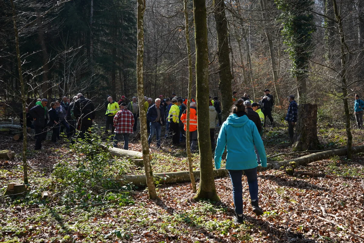 Eine Gruppe steht im Wald