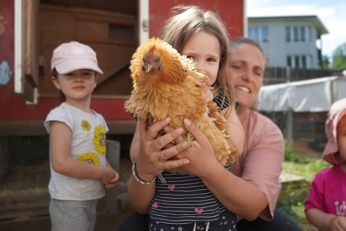 Ein Kind hält ein Huhn.
