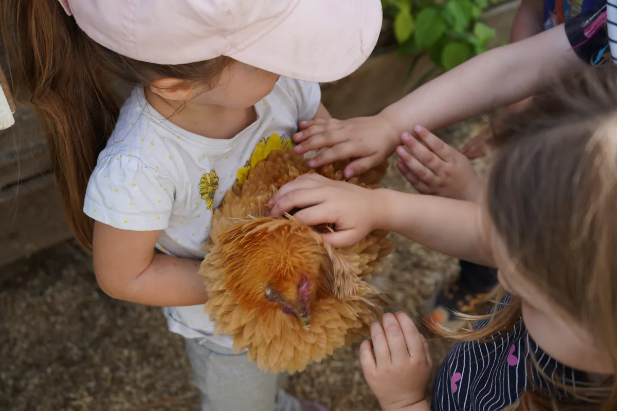 Ein Huhn und zwei Kinder.