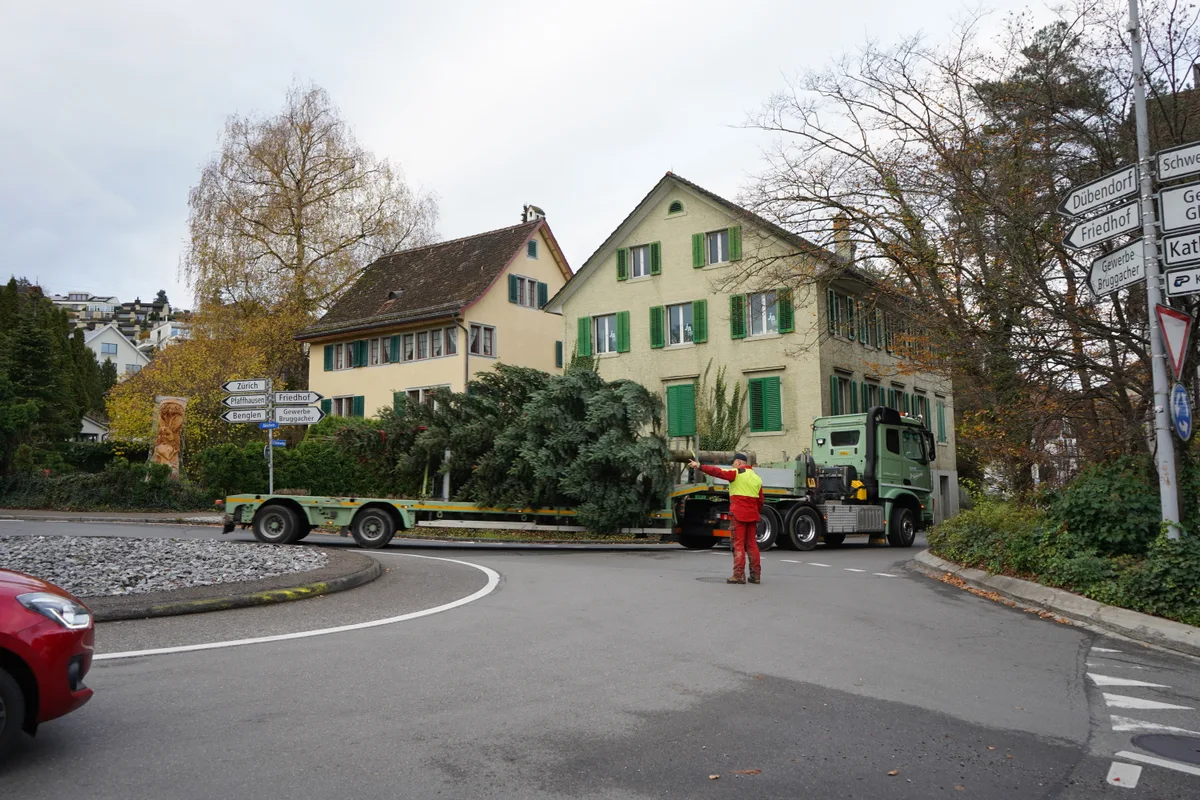 Ein Forstarbeiter stoppt den Verkehr an einem Kreisel, während der Lastwagen mit der Tanne durchfährt.
