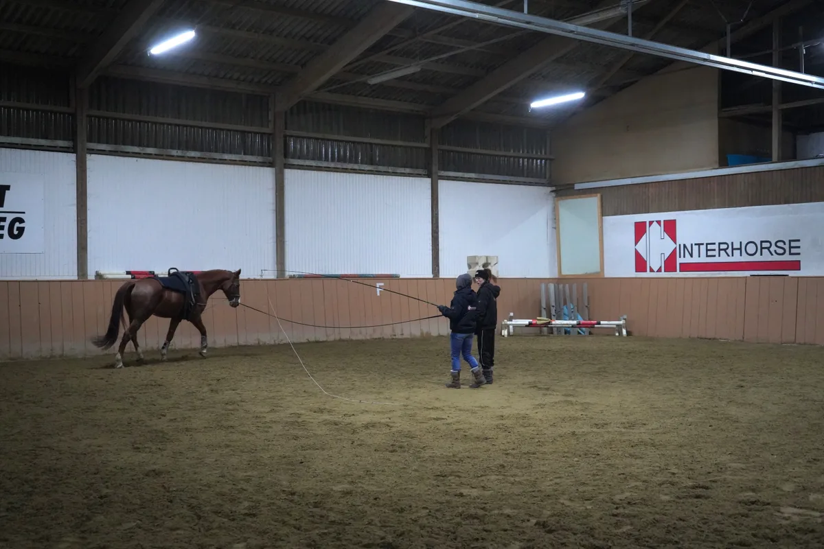 Zwei Frauen lassen ein Pferd an einer Leine in einer Reithalle im Kreis traben.