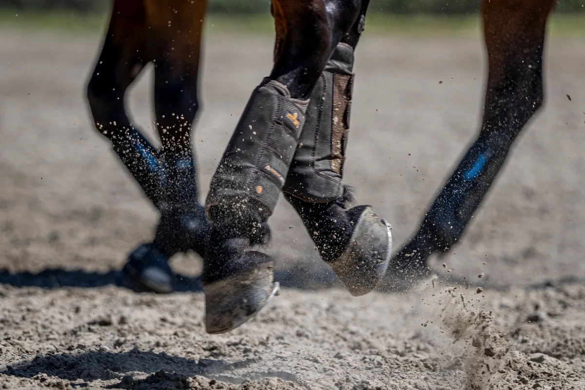 Impressionen von den Pferdesporttagen Dübendorf 2025.