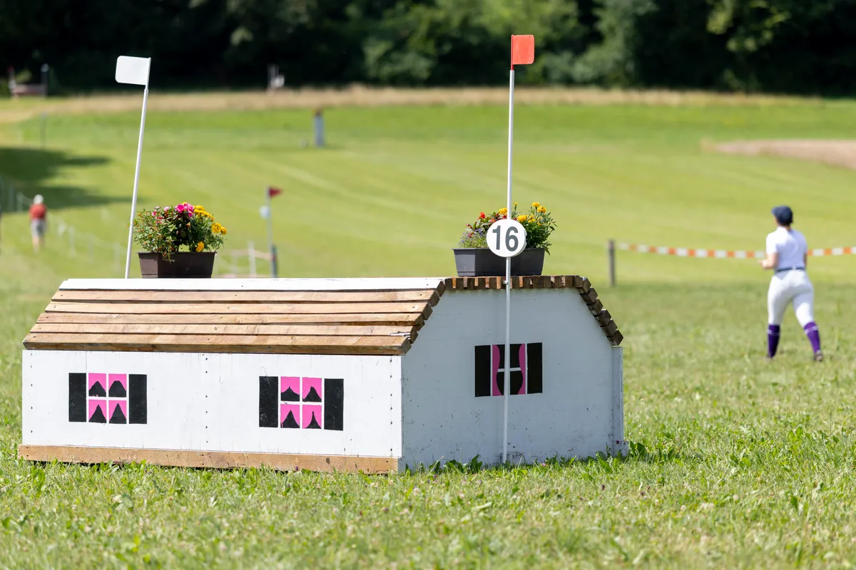 Impressionen von den Pferdesporttagen Dübendorf 2025.