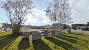 29327327-3 Aktuell ist das Leepüntareal an bester Lage im Zentrum Dübendorfs eine Brache mit Parkplatz, doch das soll sich ändern.