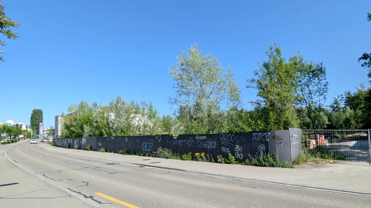 Pflanzen wachsen auf Beton, zwischen Randsteinen, auf Brachen in einem urbanen Gebiet.