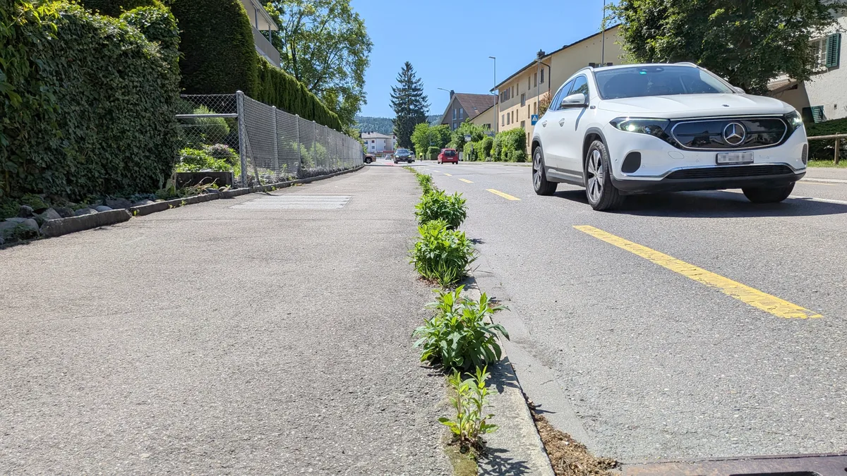 Pflanzen wachsen auf Beton, zwischen Randsteinen, auf Brachen in einem urbanen Gebiet.