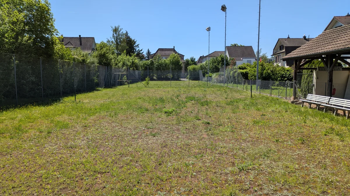 Pflanzen wachsen auf Beton, zwischen Randsteinen, auf Brachen in einem urbanen Gebiet.
