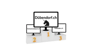 10752465-9 Die Gemeindewebseiten von Dübendorf, Volketswil, Fällanden und Schwerzenbach wurden verglichen.