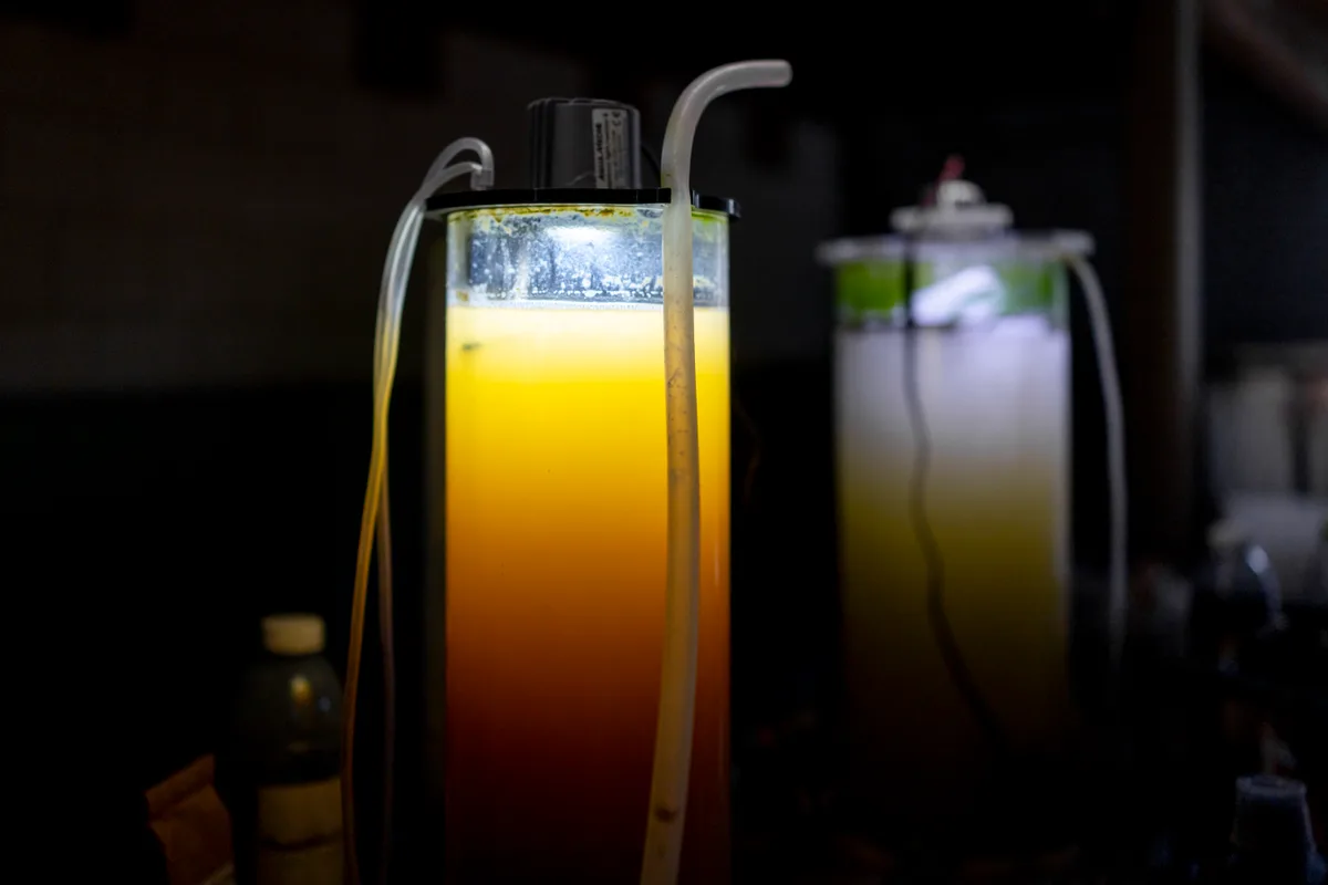 In Behältern wie diesen … Ein hell erleuchtetes Glas.