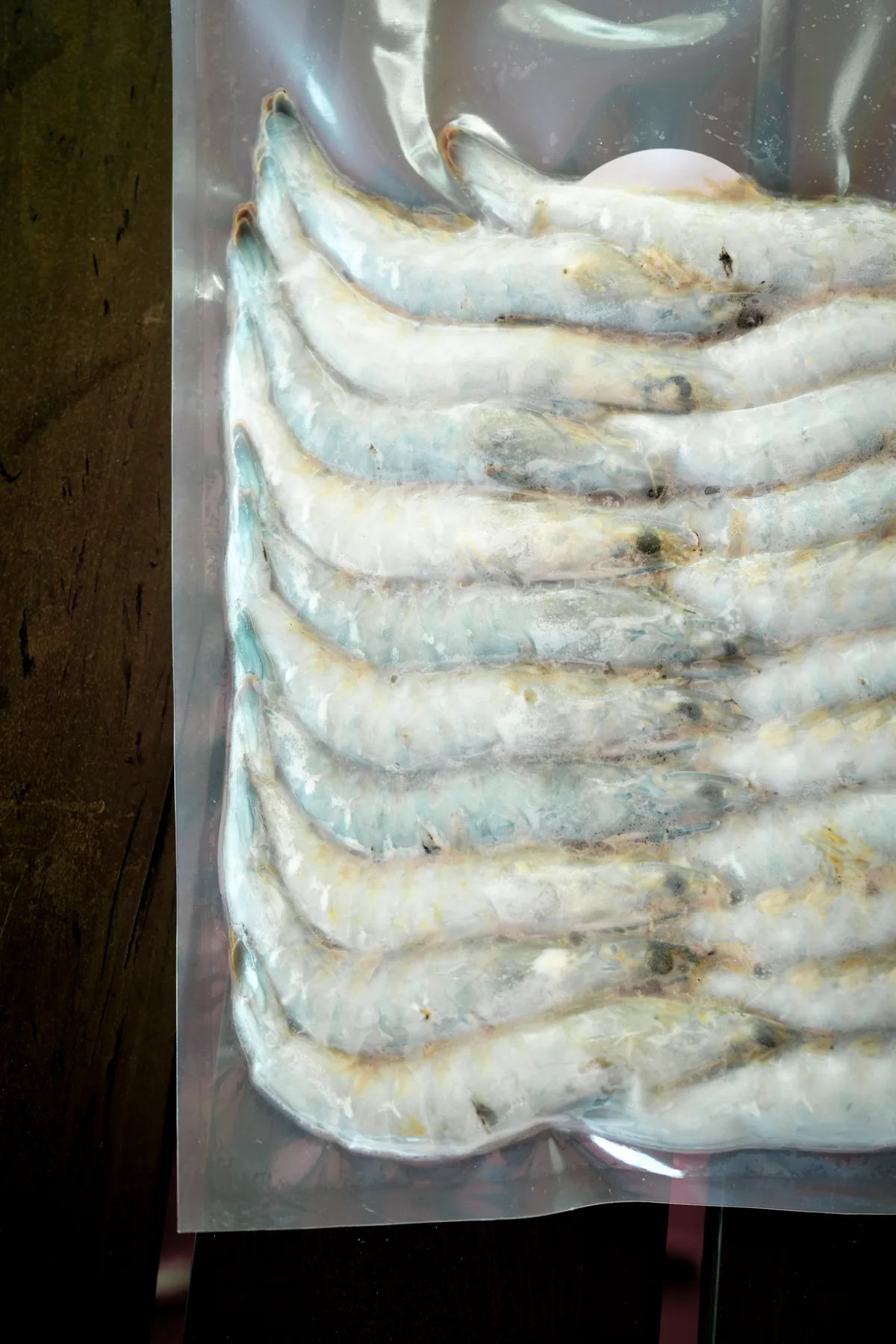 So gross werden die Shrimps, wenn sie ausgewachsen sind. Diese stammen von einer anderen Zucht. eingeschweisste Shrimps