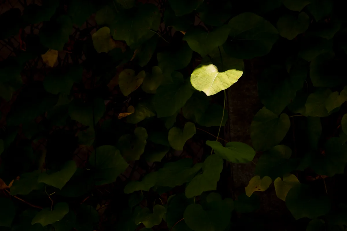 Schattenspiel auf dem Zwicky-Areal in Dübendorf. Impressionen mit Licht und Schatten.