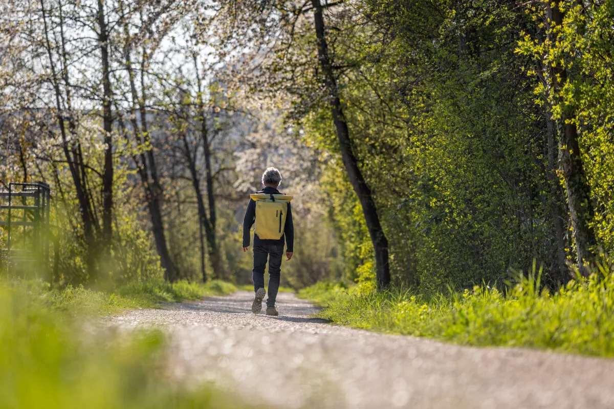 Auch entlang der Glatt wird links und rechts der Wege das Grün immer satter und dichter. Frühlingsbilder aus dem Glattal