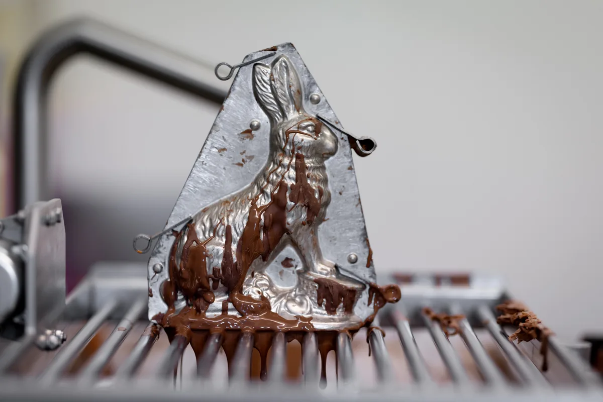 Schokoosterhasen Produktion in der Konditorei Hotz in Brüttisellen
