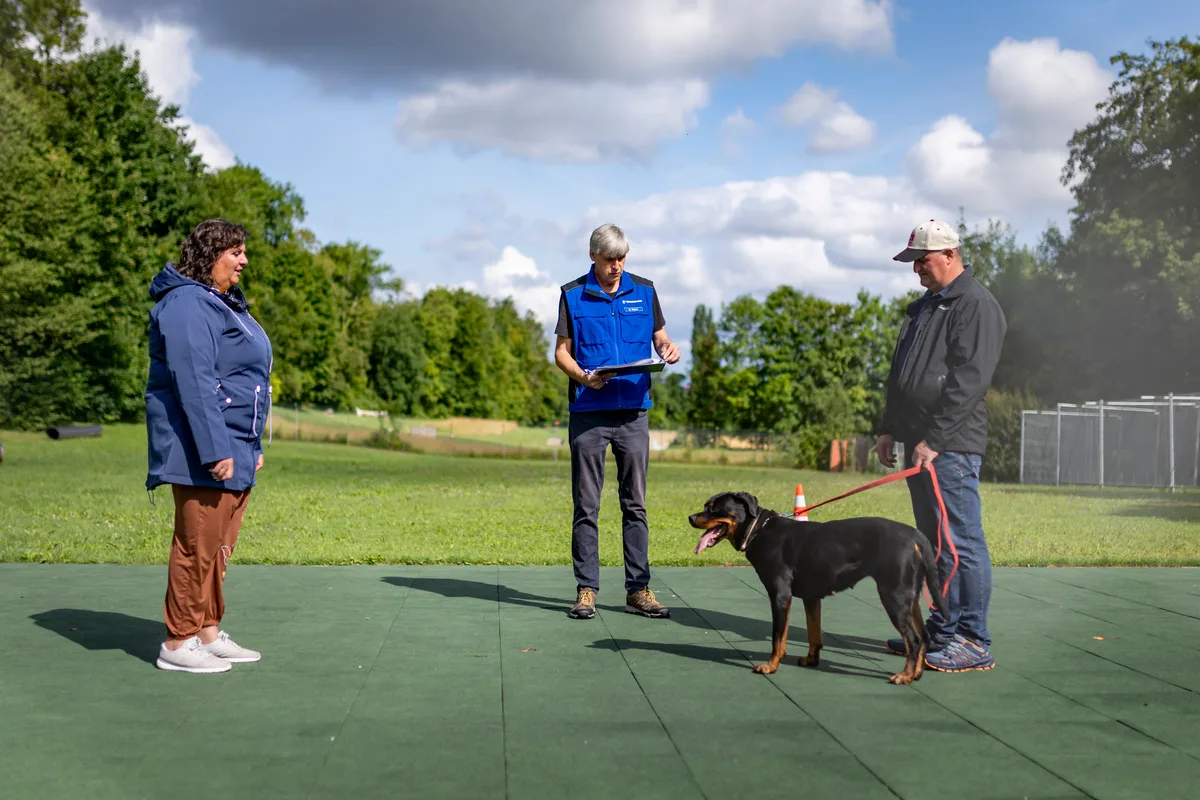 Drei Personen stehen um den Hund herum.