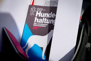 Wesensbeurteilung von einem Rottweiler "Tinka" in einem umzäunten Gelände bei Dübendorf. Wesensbeurteilung von einem Rottweiler "Tinka" in einem umzäunten Gelände bei Dübendorf.