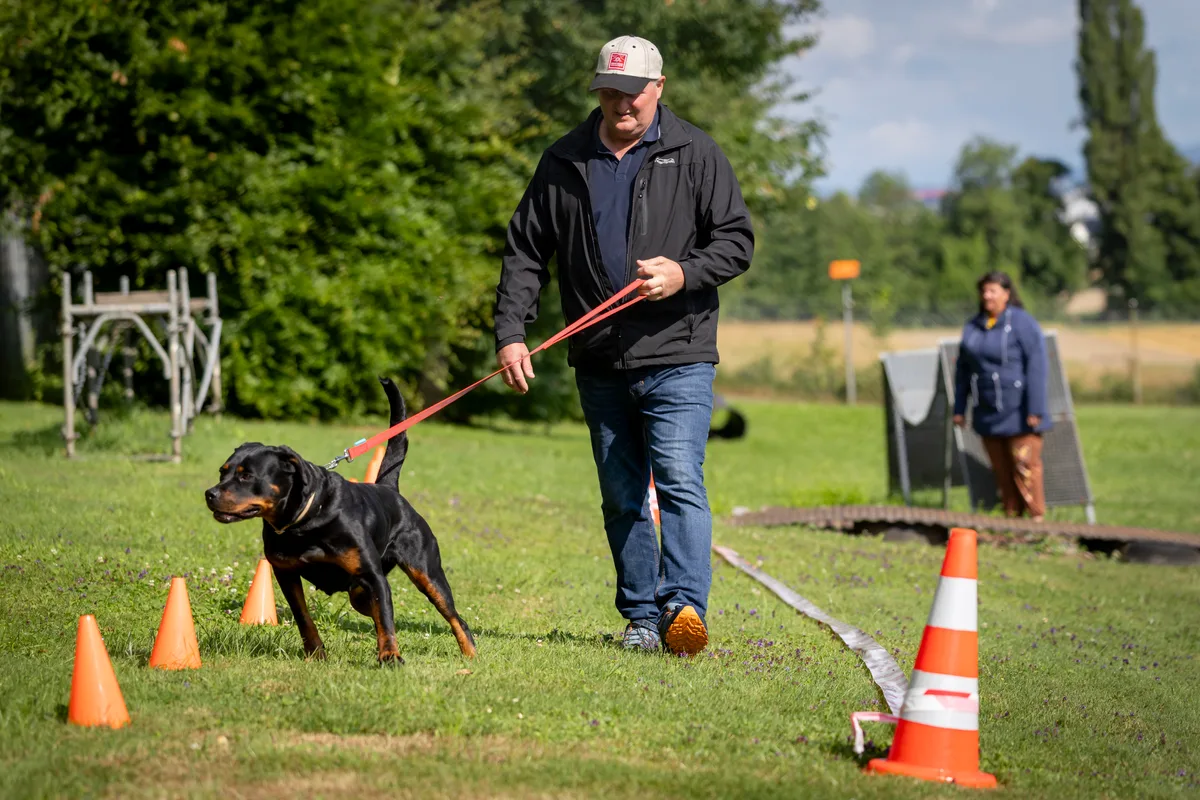Der Halter von Tinka hält den Hund fest an der Leine.