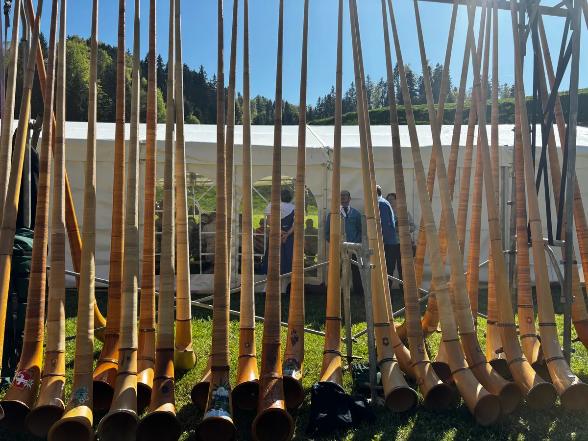 In einer Reihe aufgestellte Alphörner. 