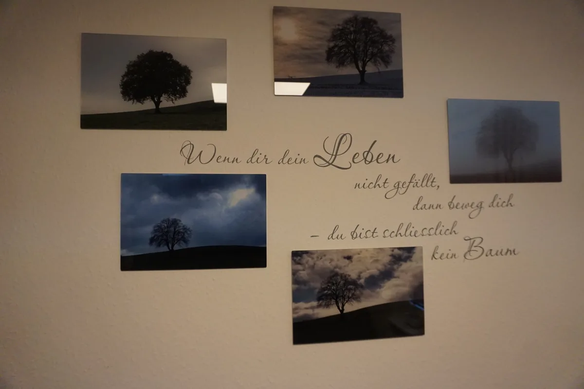 Bilder
