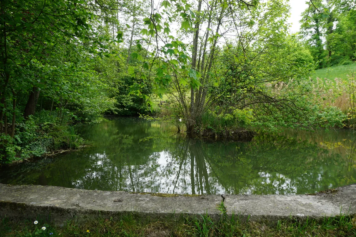 Weiher