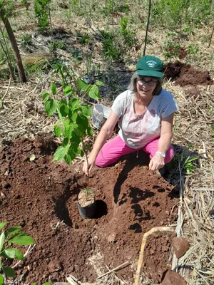 Silvia Hagen hier beim Pflanzen eines Baumes auf ihrem Areal in Paraguay. Silvia Hagen hier beim Pflanzen eines Baumes auf ihrem Areal in Paraguay.