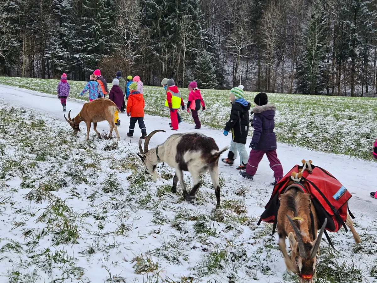 Kinder mit Ziegen